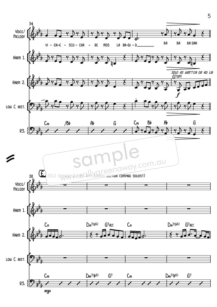 Sample page 5