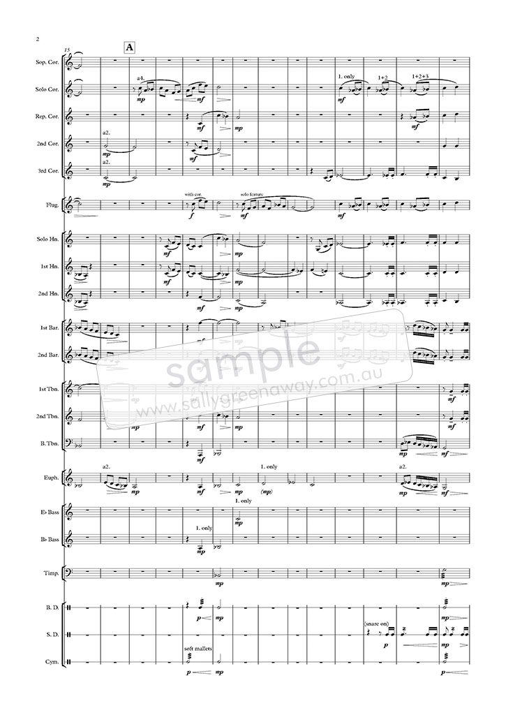 Sample page 2