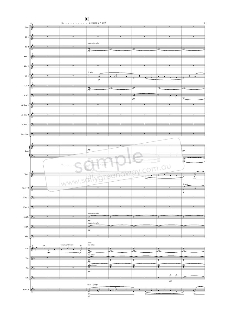Sample page 3